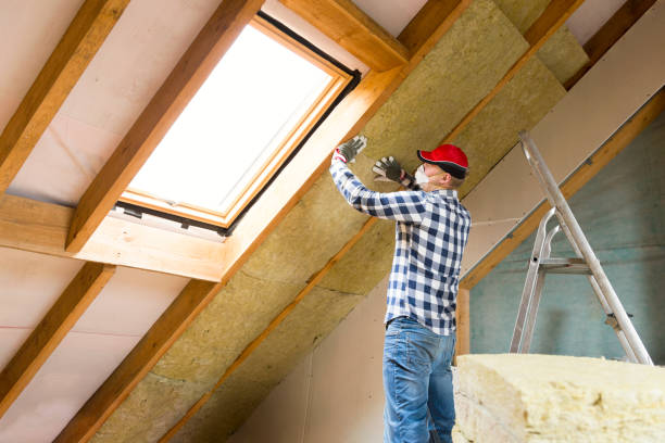 Best Eco-Friendly Insulation Solutions  in Tok, AK